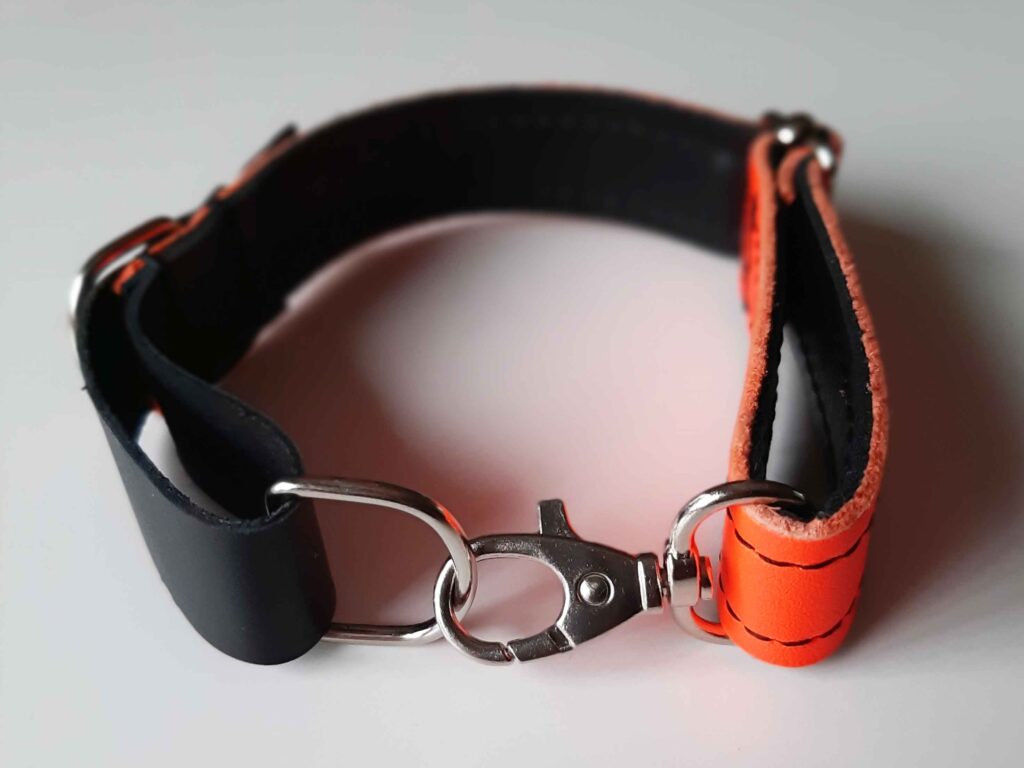 collar-piel-fluor-perro-pequeño-mediano