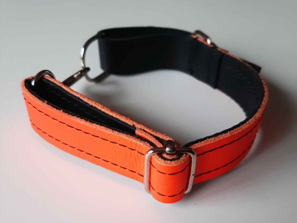 collar-piel-fluor-perro-pequeño-mediano