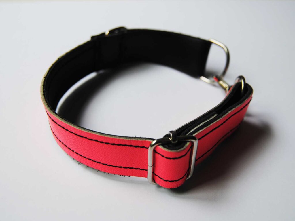 collar-piel-fluor-perro-pequeño-mediano