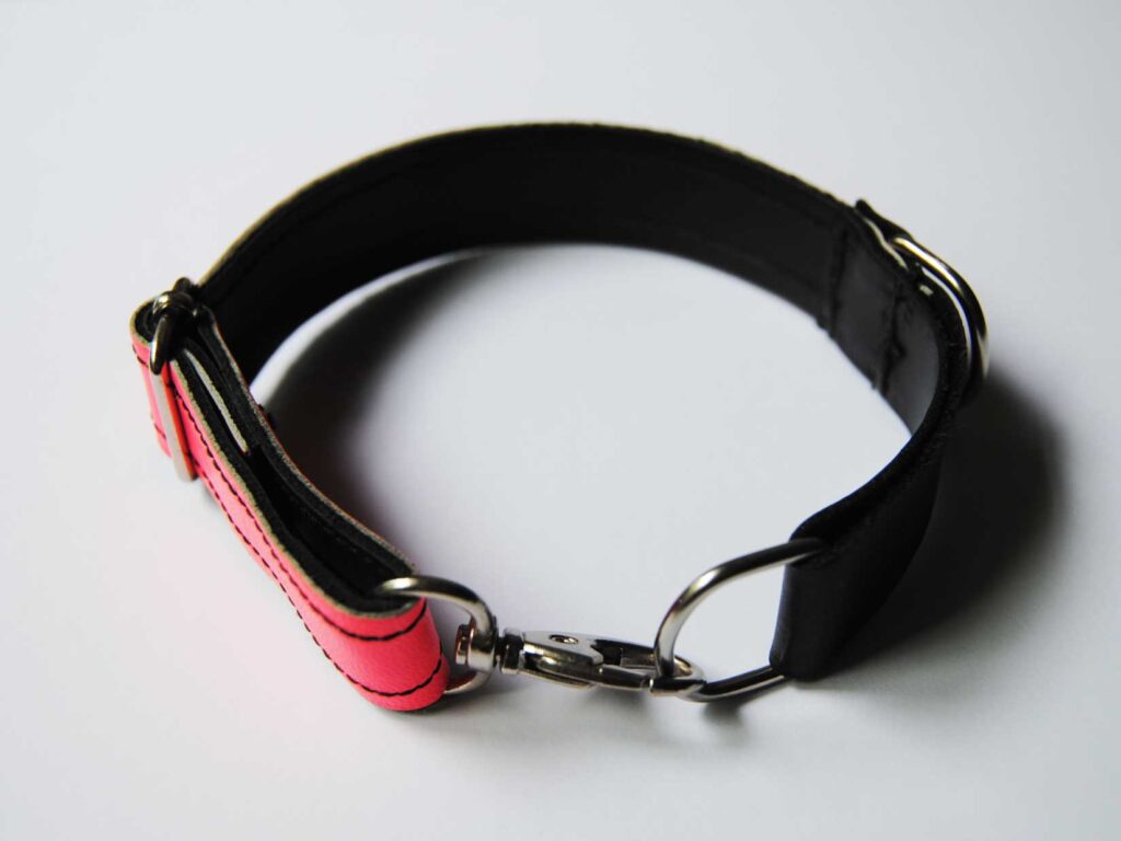 collar-piel-fluor-perro-pequeño-mediano